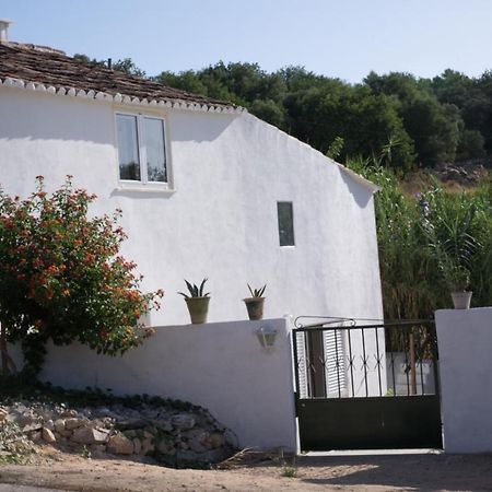 Casa Da Cabeca Hotel Faro Kültér fotó