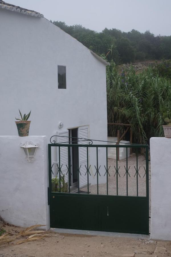 Casa Da Cabeca Hotel Azinheiro Kültér fotó